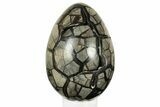 Septarian Dragon Egg Geode - Removable Section #219095-1